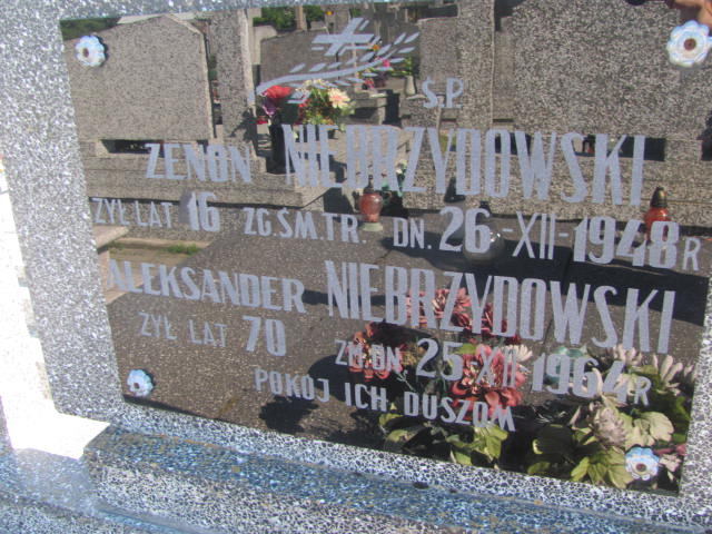Aleksander Niebrzydowski Radziłów - Grobonet - Wyszukiwarka osób pochowanych