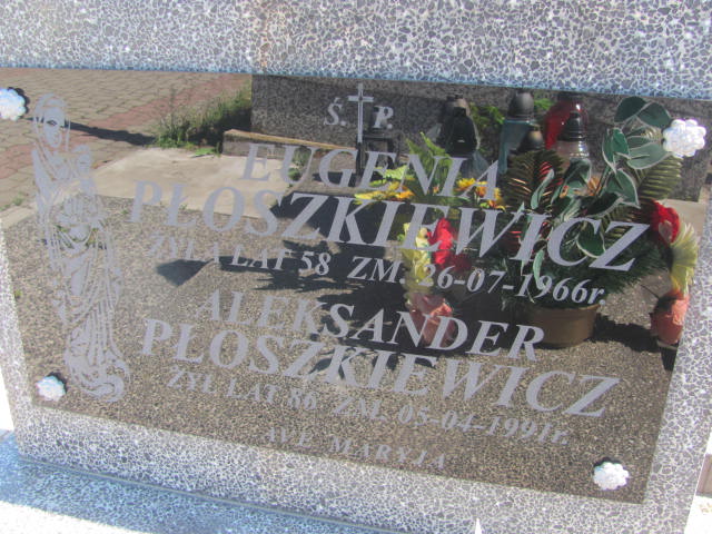 Aleksander Płoszkiewicz Radziłów - Grobonet - Wyszukiwarka osób pochowanych