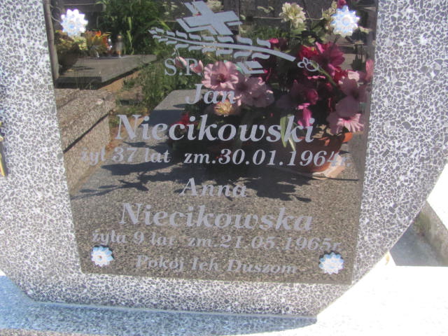 Anna Niecikowska Radziłów - Grobonet - Wyszukiwarka osób pochowanych