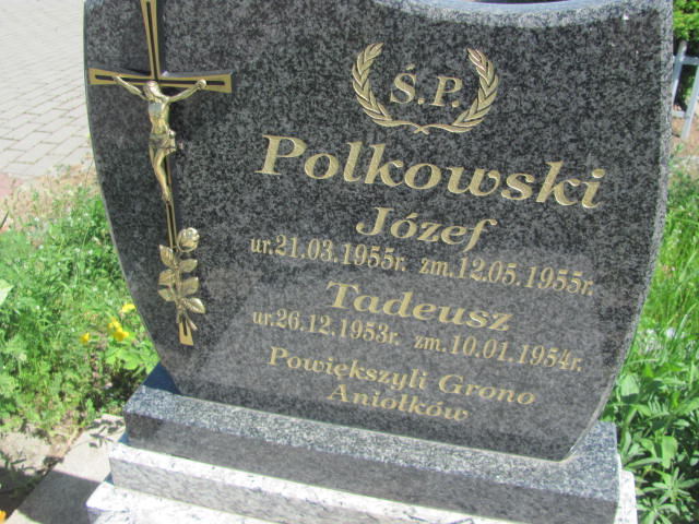 Tadeusz Polkowski 1953 Radziłów - Grobonet - Wyszukiwarka osób pochowanych