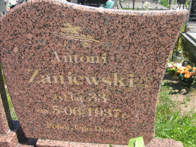 Henryk Michałowski 1933 Radziłów - Grobonet - Wyszukiwarka osób pochowanych