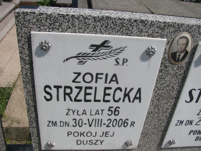 Franciszek Strzelecki Radziłów - Grobonet - Wyszukiwarka osób pochowanych