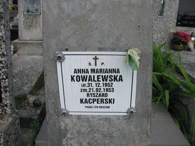 Anna Marianna Kowalewska 1952 Radziłów - Grobonet - Wyszukiwarka osób pochowanych