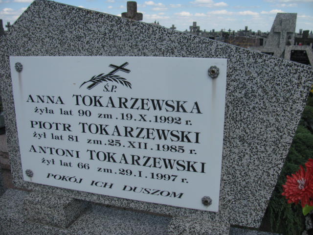 Piotr Tokarzewski Radziłów - Grobonet - Wyszukiwarka osób pochowanych