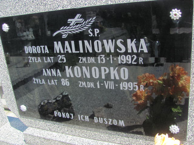 Dorota Malinowska  Radziłów - Grobonet - Wyszukiwarka osób pochowanych