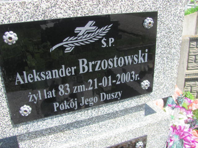 Jan Brzostowski 1962 Radziłów - Grobonet - Wyszukiwarka osób pochowanych